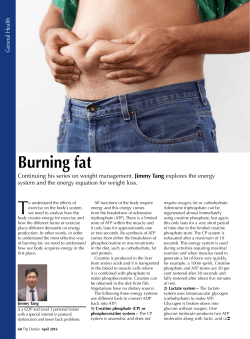 Burning fat - Health Addiction &ndash; Personal Training