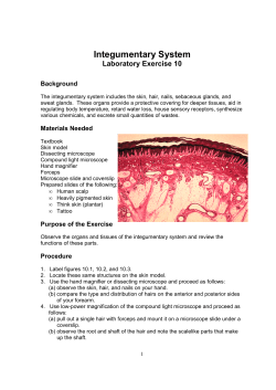 Integumentary System Lab