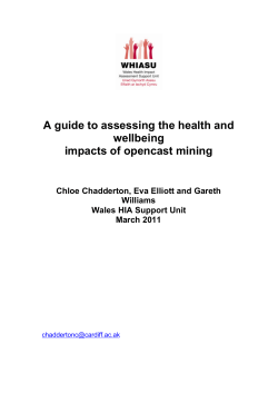 A guide to assessing the health and wellbeing