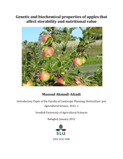 Genetic and biochemical properties of apples that affect storability