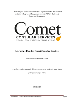 Marketing Plan for Comet Consular Services