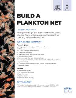 build a plankton net