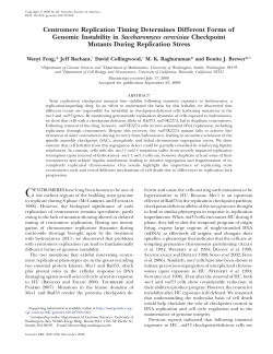 Centromere Replication Timing Determines Different