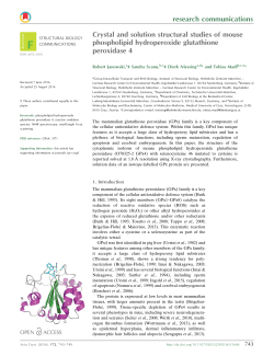 Crystal and solution structural studies of mouse phospholipid