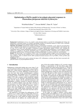 Optimization of BeWo model to investigate placental