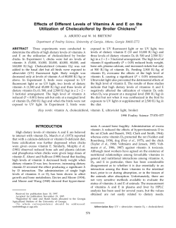 Effects of Different Levels of Vitamins A and E on