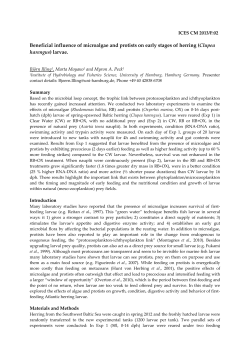 Beneficial influence of microalgae and protists on early stages of