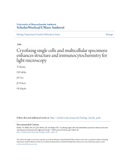 Cryofixing single cells and multicellular specimens enhances