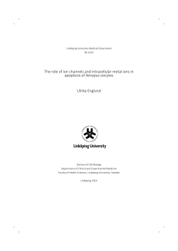 The role of ion channels and intracellular metal ions in