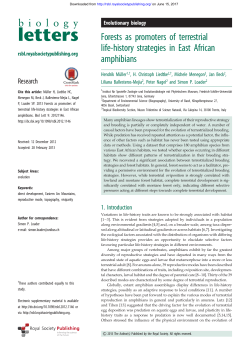Forests as promoters of terrestrial life