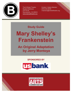 Mary Shelley`s Frankenstein