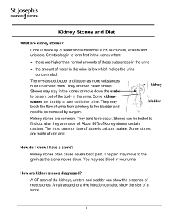 Kidney Stones and Diet - St. Joseph`s Healthcare Hamilton