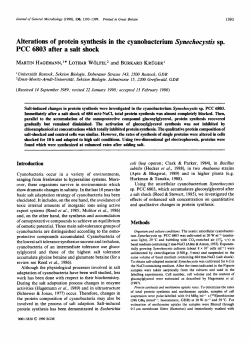 Alterations of protein synthesis in the cyanobacterium