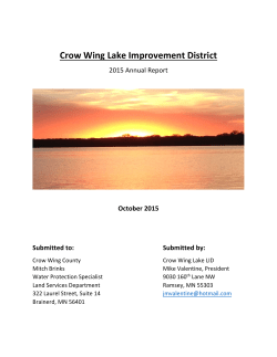 Crow Wing Lake Improvement District