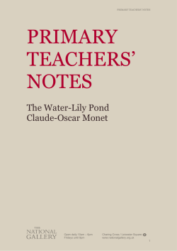 Primary Teachers` Notes