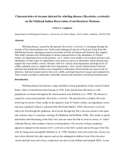 Characteristics of streams infected by whirling disease (Myxobolus