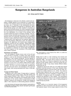 Kangaroos in Australian Rangelands - Journals at the University of