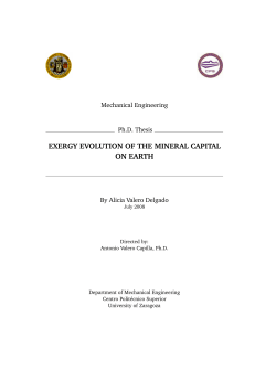Exergy evolution of the mineral capital on earth