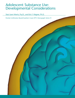 Adolescent Substance Use: Developmental Considerations