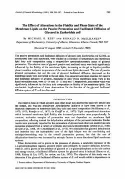 Glycerol in Escherichia colt