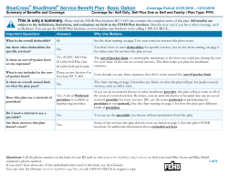BlueCross BlueShield Service Benefit Plan: Basic