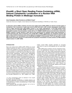 Enod40, a Short Open Reading Frame&ndash;Containing