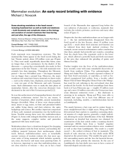 Mammalian evolution: An early record bristling