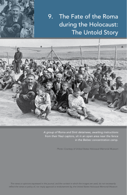 9. The Fate of the Roma during the Holocaust