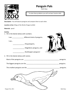 Penguin Pals - Cincinnati Zoo