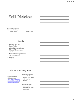 Paper-saving  - text references instead of pictures