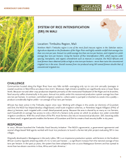system of rice intensification (sri) in mali