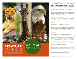 quests - Amazon Web Services