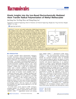 Kinetic Insights into the Iron-Based