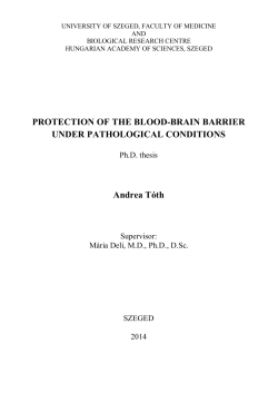PROTECTION OF THE BLOOD-BRAIN BARRIER UNDER
