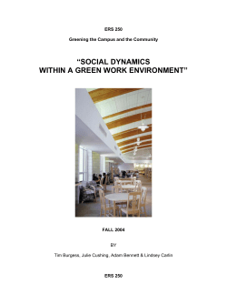 social dynamics within a green work environment