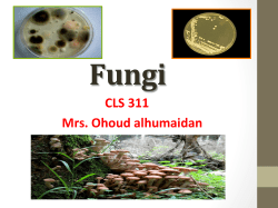 Fungi