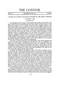 A Study of Captive Galapagos Finches of the Genus Geospiza