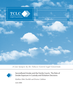 Family Law Synopsis 2005.indd