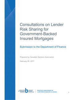 Consultations on Lender Risk Sharing for Government