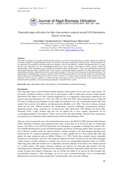 Disposable algae cultivation for high