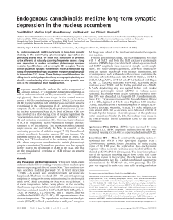 Endogenous cannabinoids mediate long