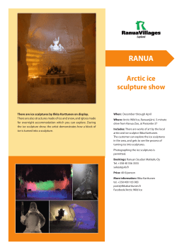 Arctic ice sculpture show