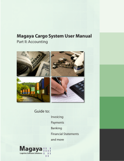 Accounting Wizard - Magaya Corporation