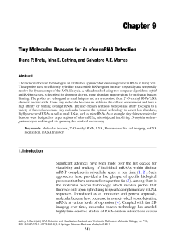 Chapter 9 - molecular beacons