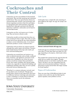 Cockroaches and Their Control