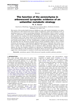 The function of the aerenchyma in arborescent lycopsids: evidence