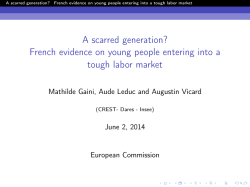 A scarred generation? French evidence on young people entering
