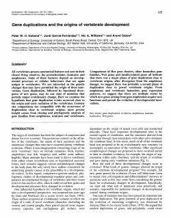Gene duplications and the origins of vertebrate development