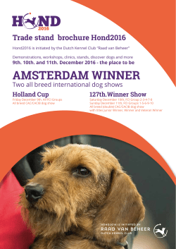 amsterdam winner