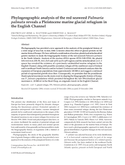 PDF - Queen`s University Belfast